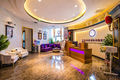 資本看好動物醫療賽道 寵愛國際完成C輪數億元融資成為市場標桿