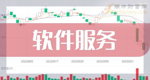 軟件服務概念龍頭公司 上海網絡服務領域的領跑者