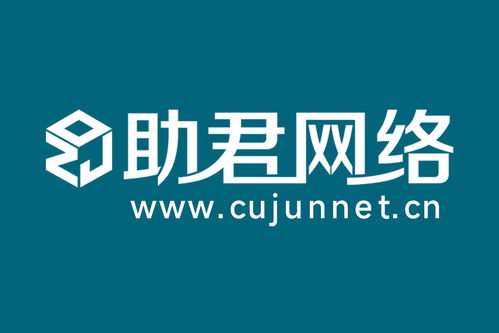 2026年上海十大實力網站建設服務商優選指南