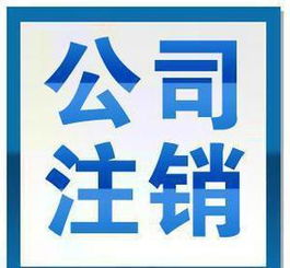 上海網(wǎng)絡(luò)服務(wù)公司的創(chuàng)新發(fā)展與市場(chǎng)價(jià)值