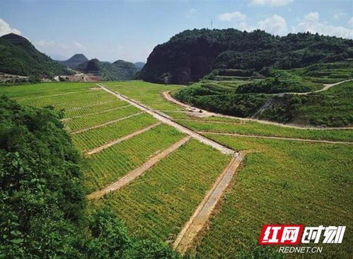 湖南生態(tài)環(huán)境保護 以“人民戰(zhàn)爭”匯聚磅礴力量，筑牢生態(tài)安全屏障